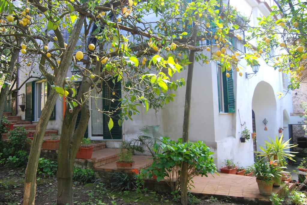 Sorrento Studios Lemons Hill 객실 사진