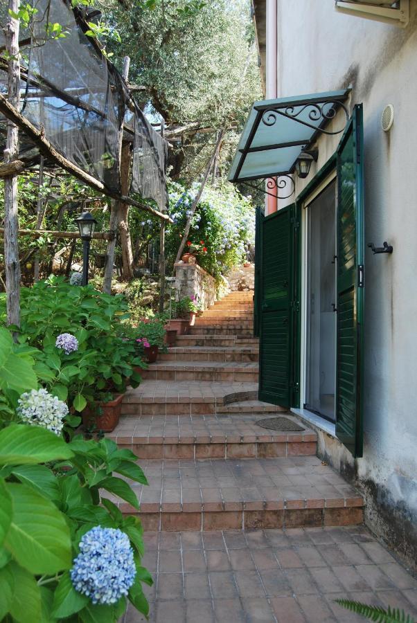 Sorrento Studios Lemons Hill 외부 사진